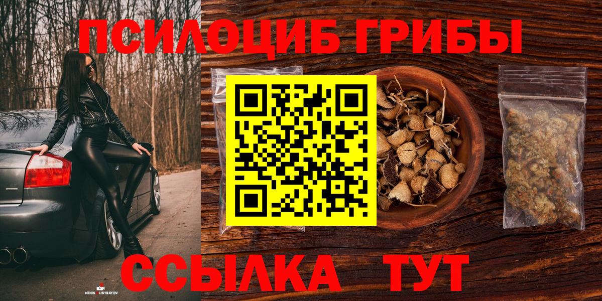 Галлюциногенные грибы прущие грибы  Вход с VPN  Шумерля 